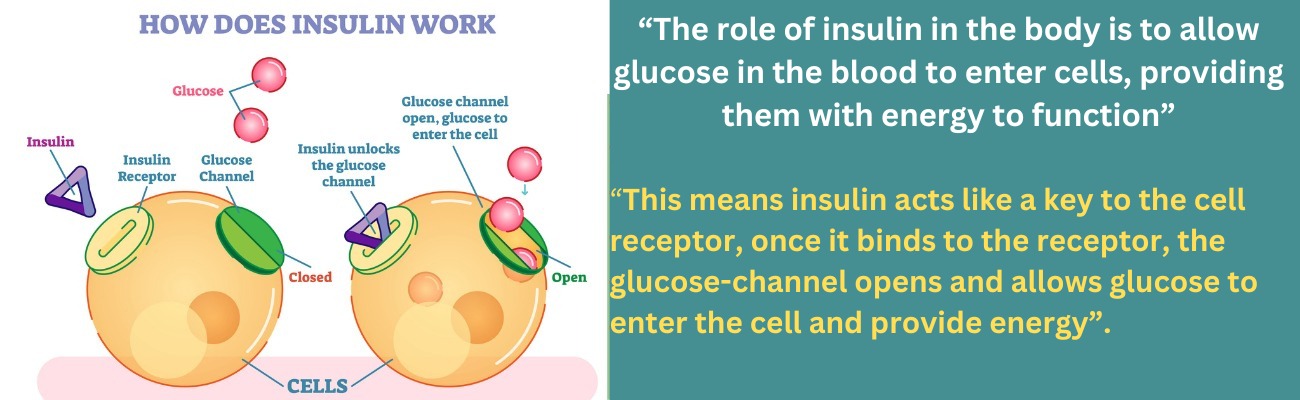 Diabetes Symptoms and Reversal